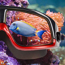 Load image into Gallery viewer, Large Frame Swim Goggles